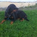27, Nulla Nulla, Australia